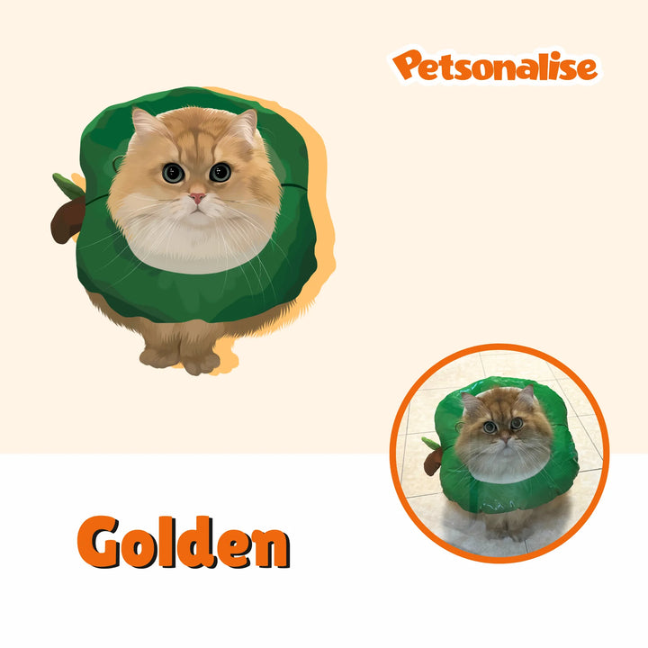 Digital Hand-Drawn Pet Portraits - Petsonalise