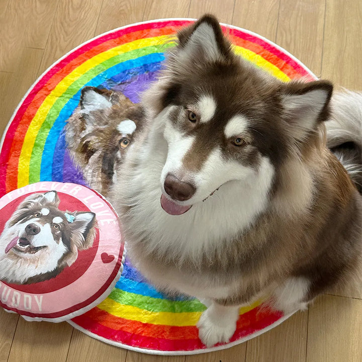 Light Luxury Velvet Custom Pet Round Rug - Rainbow - Petsonalise
