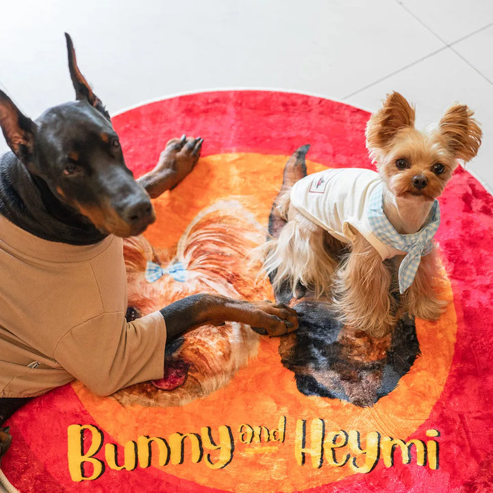Light Luxury Velvet Custom Pet Round Rug - Cartoon - Petsonalise