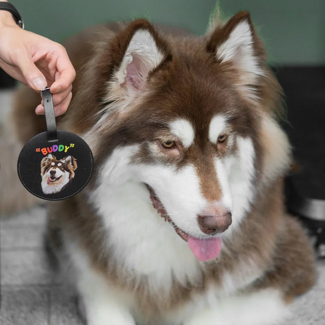 Custom Pet Luggage Tag - Classic Collection - Petsonalise